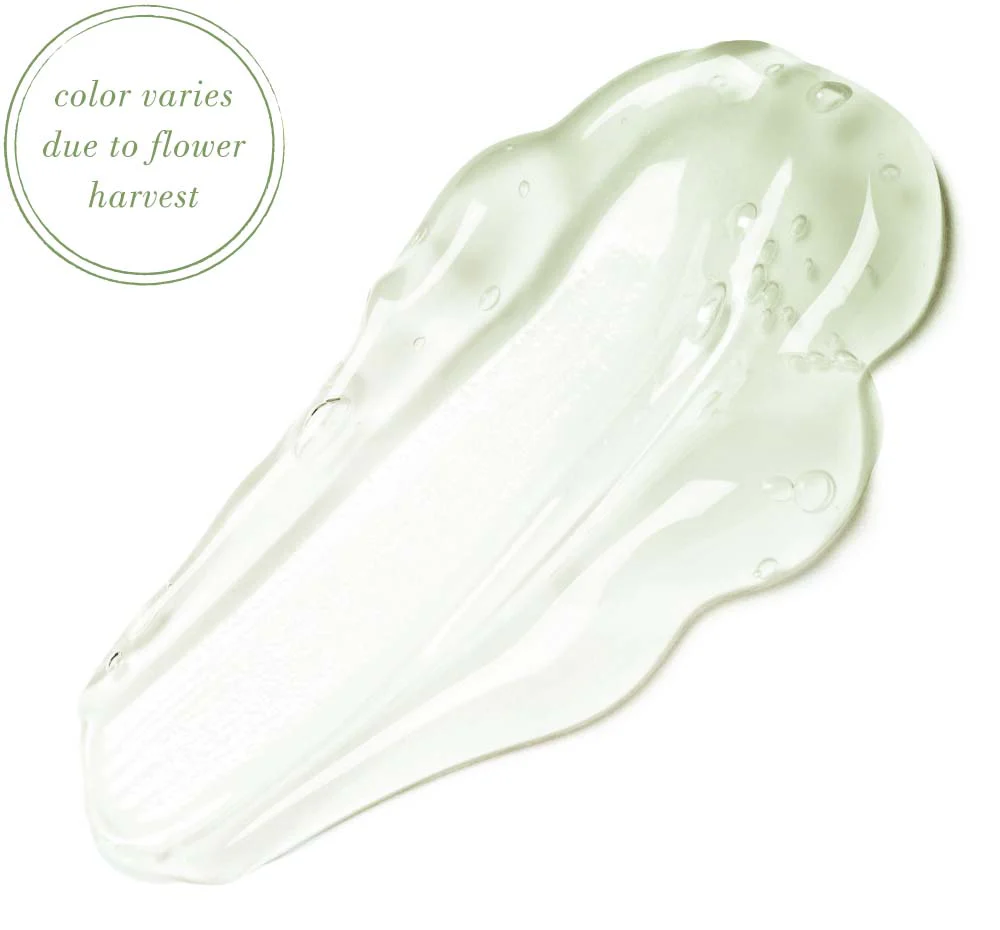 Picture Perfect Skin - Image 11