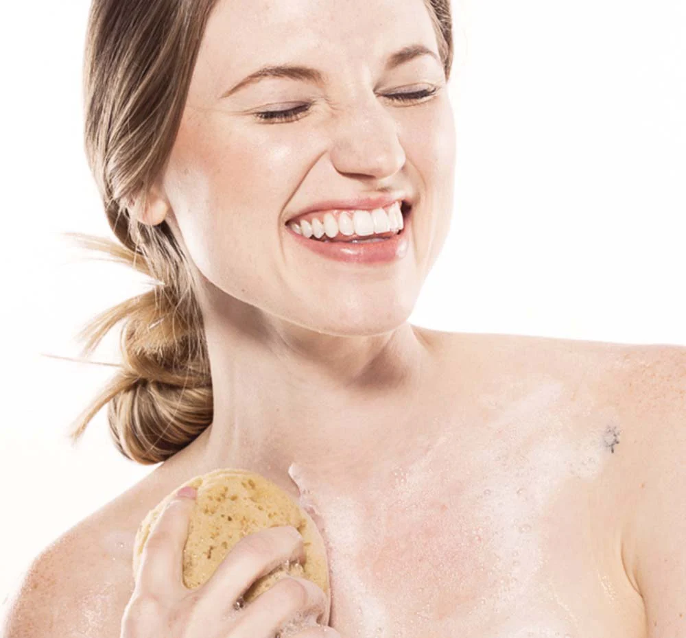 Whoopie Splendor - Image 2